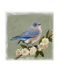 Victoria Borges Bluebird Branch I Canvas Art
