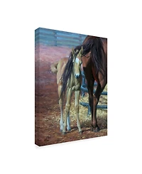 Jack Sorenson Horses Bad Hair Day Canvas Art - 20" x 25"