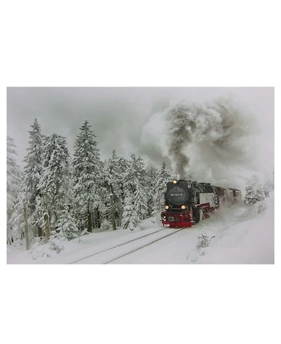 Northlight Large Fiber Optic and Led Lighted Winter Woods with Train Canvas Wall Art, 15.75" x 23.5"