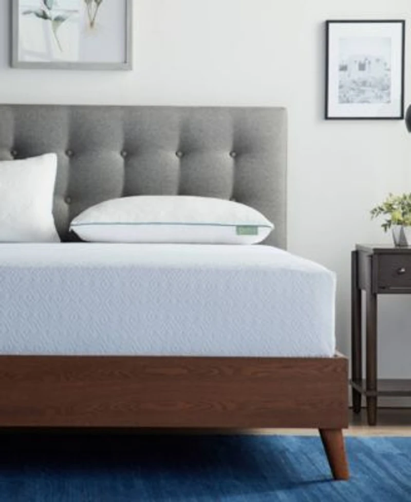 Lucid Dream Collection Shredded Memory Foam 2 Pack Pillows