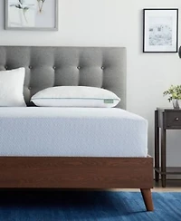 Lucid Dream Collection Shredded Memory Foam 2 Pack Pillows