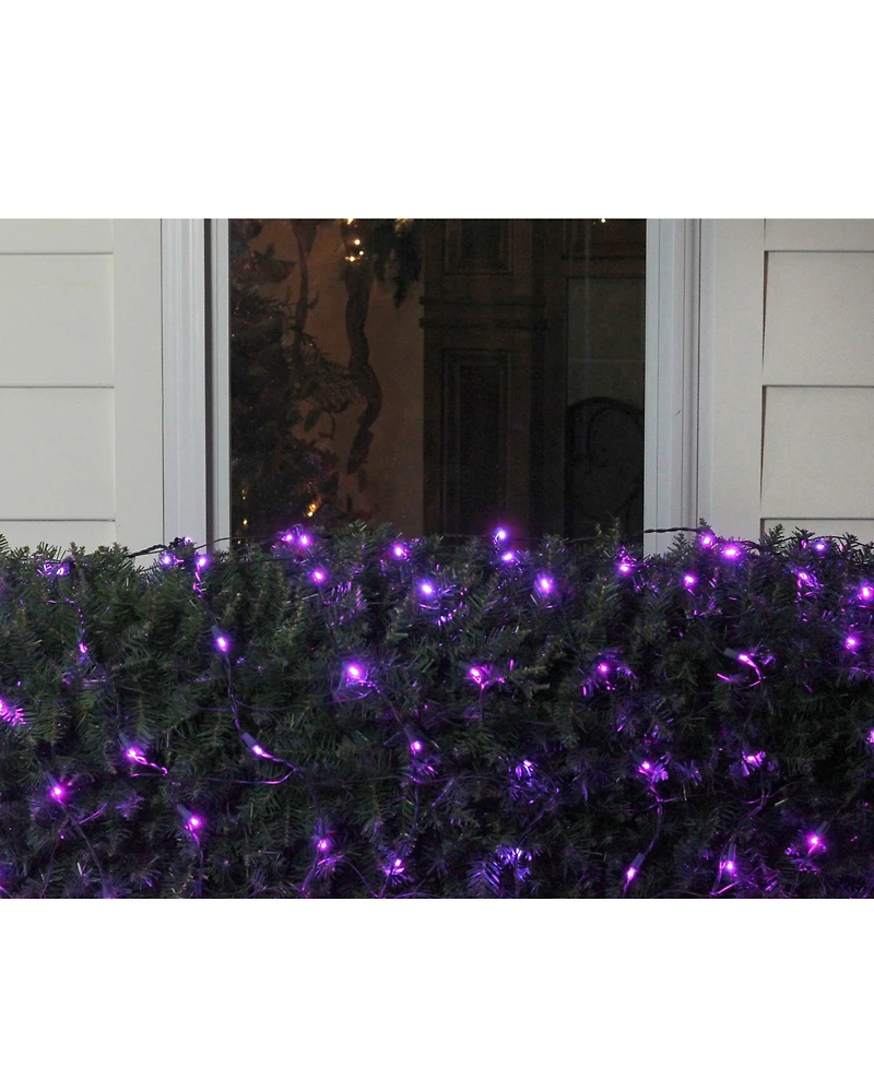 Northlight 4' x 6' Led Wide Angle Christmas Net Lights