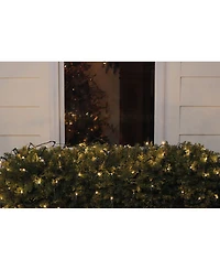 Northlight 4' x 6' Warm White Led Wide Angle Christmas Net Lights - Green Wire