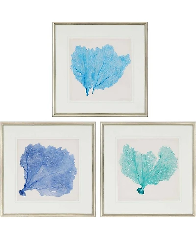 Paragon Sea Fan Ii Framed Wall Art Set of 3, 25" x 25"