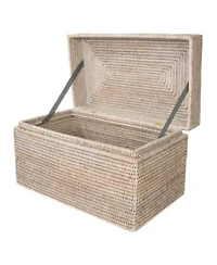 Artifacts Trading Company Artifacts Rattan Rectangular Hinged Chest/Trunk