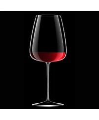 Luigi Bormioli Talismano 8-pc Stemware Set