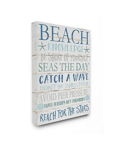 Stupell Industries Beach Knowledge Blue Aqua and White Planked Look Sign, 16" L x 20" H