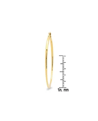 Steeltime 18K Gold Plated Stainless Steel Hoop Earrings