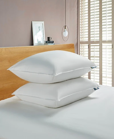 Serta White Goose Feather & Down Fiber Back Sleeper 2-Pack Pillow, Standard/Queen