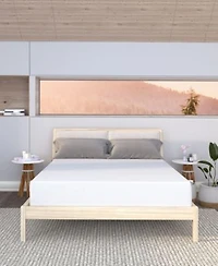 Dusk Dawn 11 Medium Mattress In A Box Collection