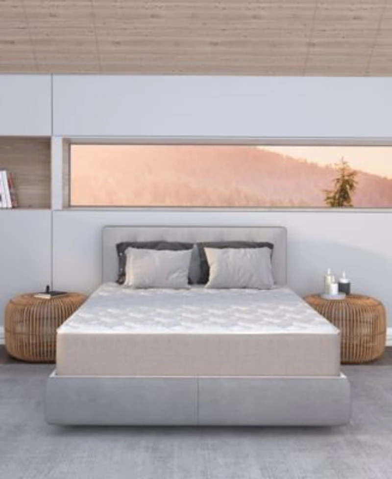 Dusk Dawn 12 Medium Plush Mattress In A Box Collection