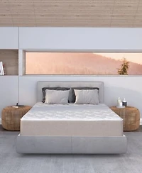 Dusk Dawn 12 Medium Plush Mattress In A Box Collection
