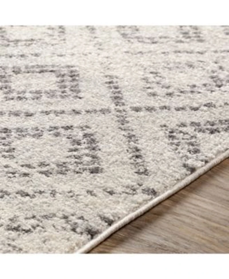 Livabliss Sunderland Sun 2301 Silver Area Rug