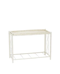 Resin Planter with Tray