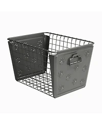 Spectrum Macklin Paws Basket, Medium