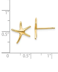 Starfish Stud Earrings in 14k Gold