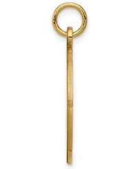 Medical Info Charm Pendant in 14k Gold