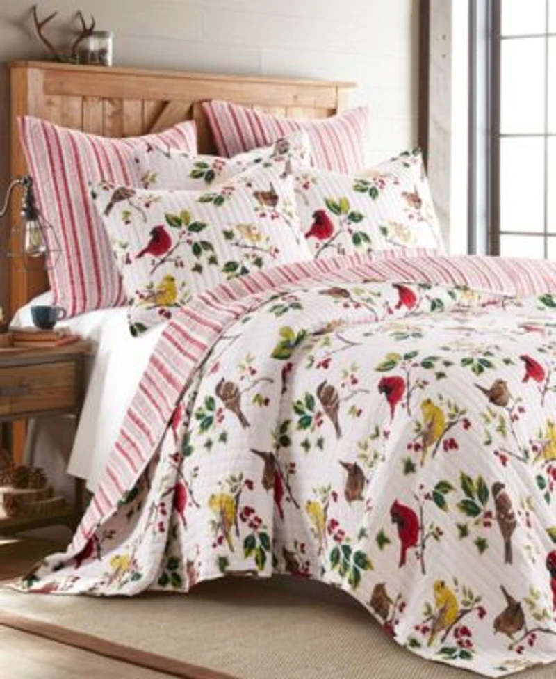 Levtex Joybirds Watercolor Etched Quilt Sets