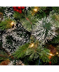 National Tree Company 24" Wintry Pine Wreath with Cones, Red Berries, Snowflakes and 50 Clear Lights