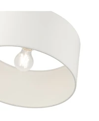 Meridian 1 Light Semi Flush