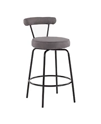 Rhonda Contemporary Counter Stool, Set of 2