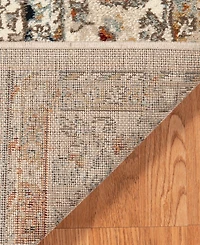 Amer Rugs Allure Ashey 7'9" x 9'9" Area Rug