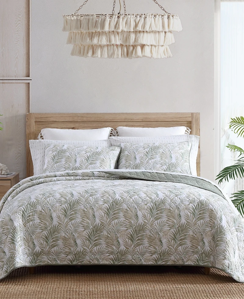 Closeout! Tommy Bahama Home Maui Palm Cotton Reversible 3 Piece Quilt Set