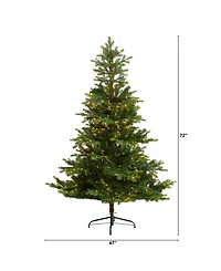 North Carolina Spruce Artificial Christmas Tree with 350 Clear Lights and 631 Bendable Branches, 6'