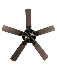 Jasper 2-Light Farmhouse Industrial Iron Dome Shade Led Ceiling Fan with Remote
