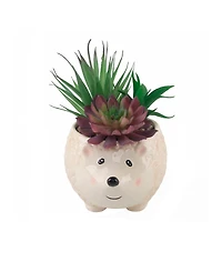 8" Artificial Succulent in 6" Large Hedgehog Ceramic Planter