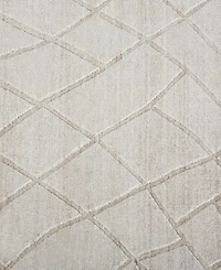 Feizy Redford R8846 5' x 8' Area Rug
