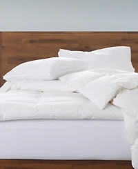 Ella Jayne Gusseted Soft Plush Down Alternative Stomach Sleeper 2-Pack Pillow