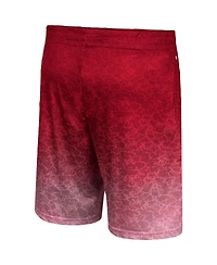Men's Colosseum Cardinal Usc Trojans Walter Shorts