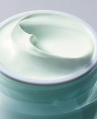 Daywear Advanced Multi Protection Anti Oxidant Cream Moisturizer Spf 15
