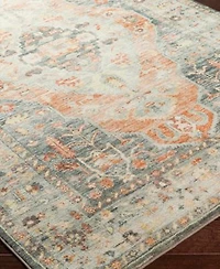 Livabliss Erin Ern2306 Area Rug