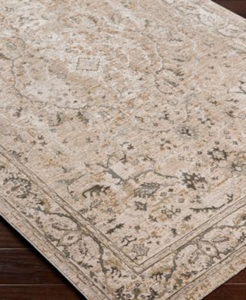 Livabliss Brunswick Bwk2312 Area Rug