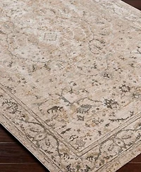 Livabliss Brunswick Bwk2312 Area Rug