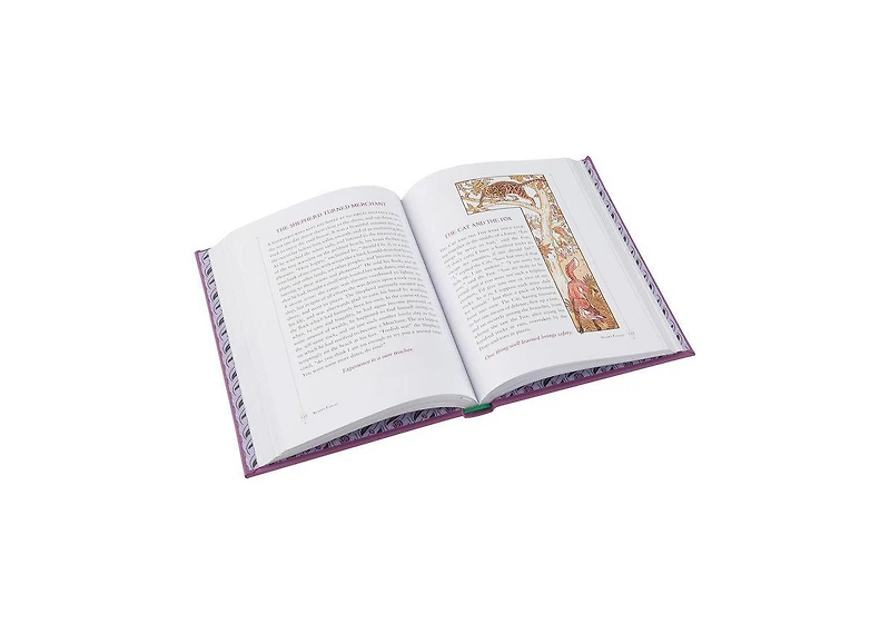 Aesop's Fables (Barnes & Noble Collectible Editions) by Aesop