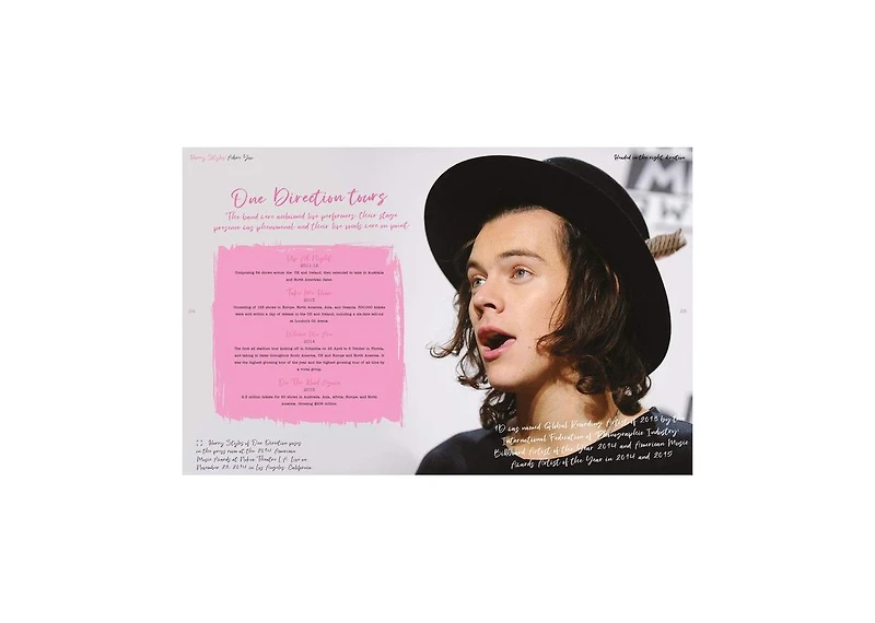 Harry Styles: Adore You by Danann Publishing
