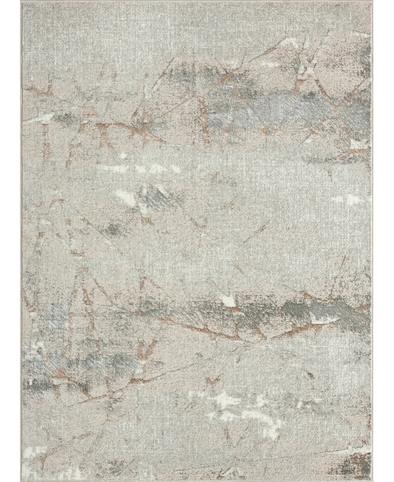Lr Home Atlas Atl-820 5' x 7' Area Rug