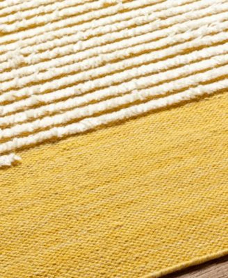 Livabliss Apache Apa 2312 Area Rug