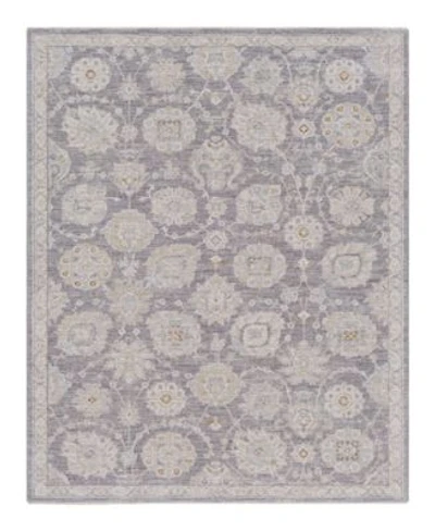 Livabliss Avant Garde Avt 2336 Area Rugs
