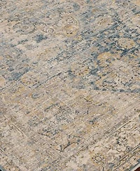 Livabliss Aspendos Aps 2304 Area Rugs