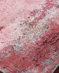 Exquisite Rugs Antolini ER2535 8' x 10' Area Rug