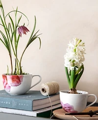 Villeroy & Boch Rose Garden Breakfast Cup