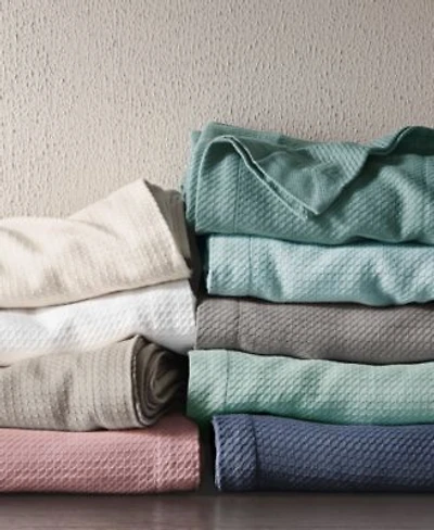 Madison Park Egyptian Cotton Blankets