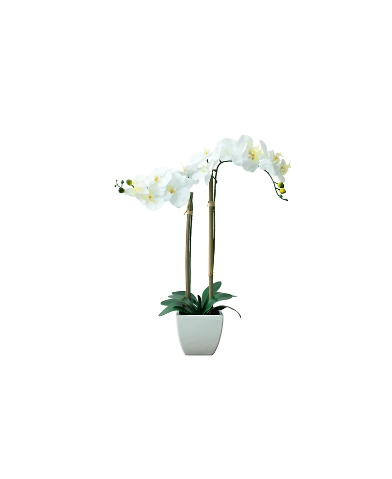Nature's Elements Tabletop Real Touch Artificial Orchid