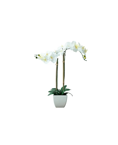Nature's Elements Tabletop Real Touch Artificial Orchid