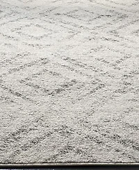 Safavieh Adirondack 131 Light Gray and Gray 8' x 10' Area Rug