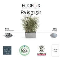 Ecopots Paris Durable Modern Plastic Rectangular Planter